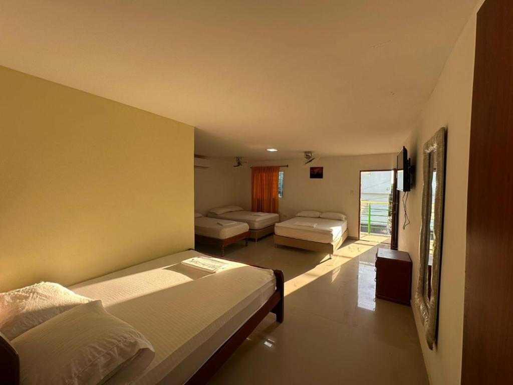 Hostal green light - 4