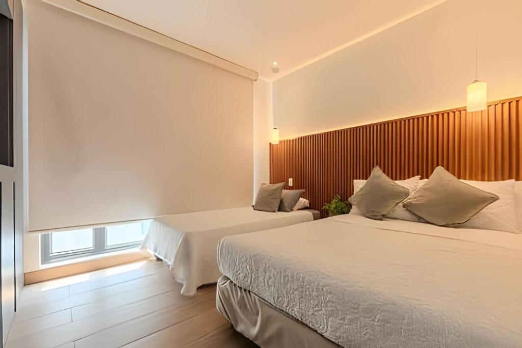 Elite Apartment / Near the Historic Center - 5