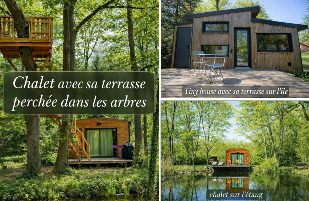 Les Chalets Horizon - 1
