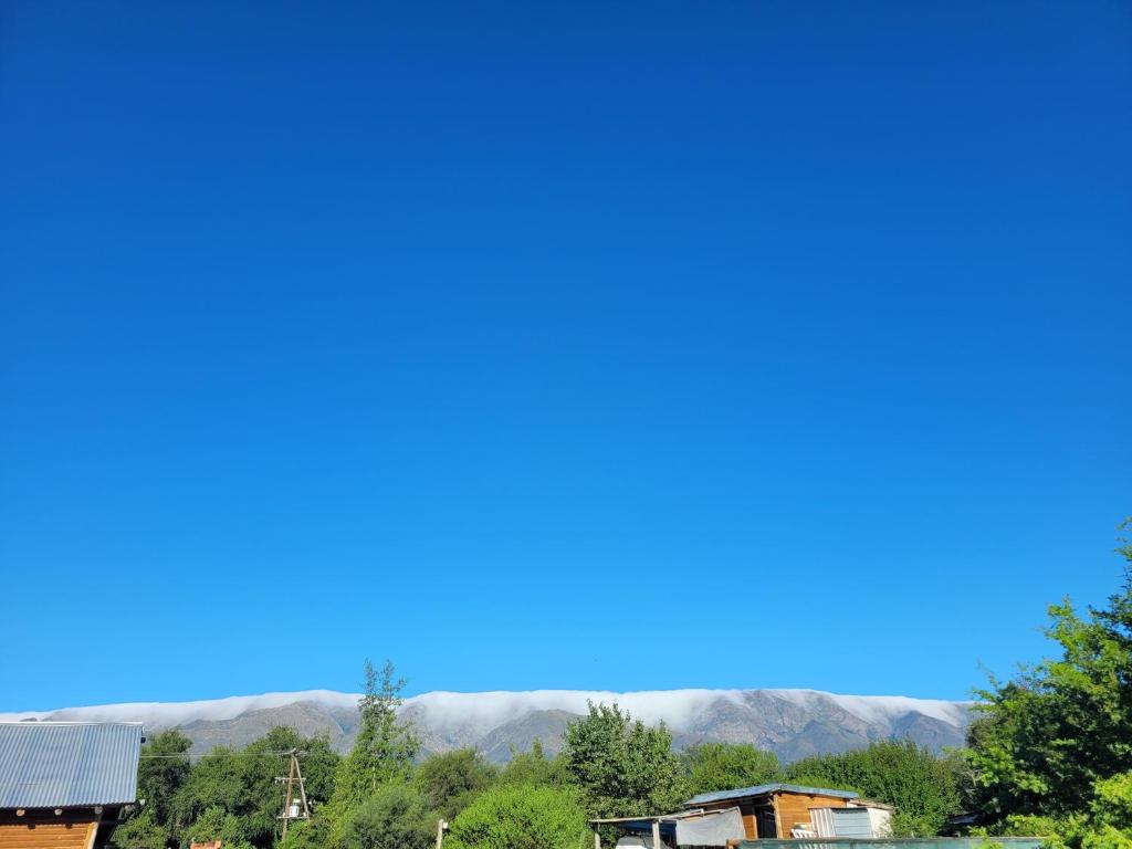 Alma de Algarrobo - 3
