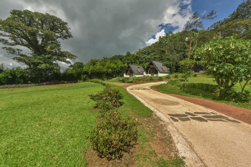Surrounding environment