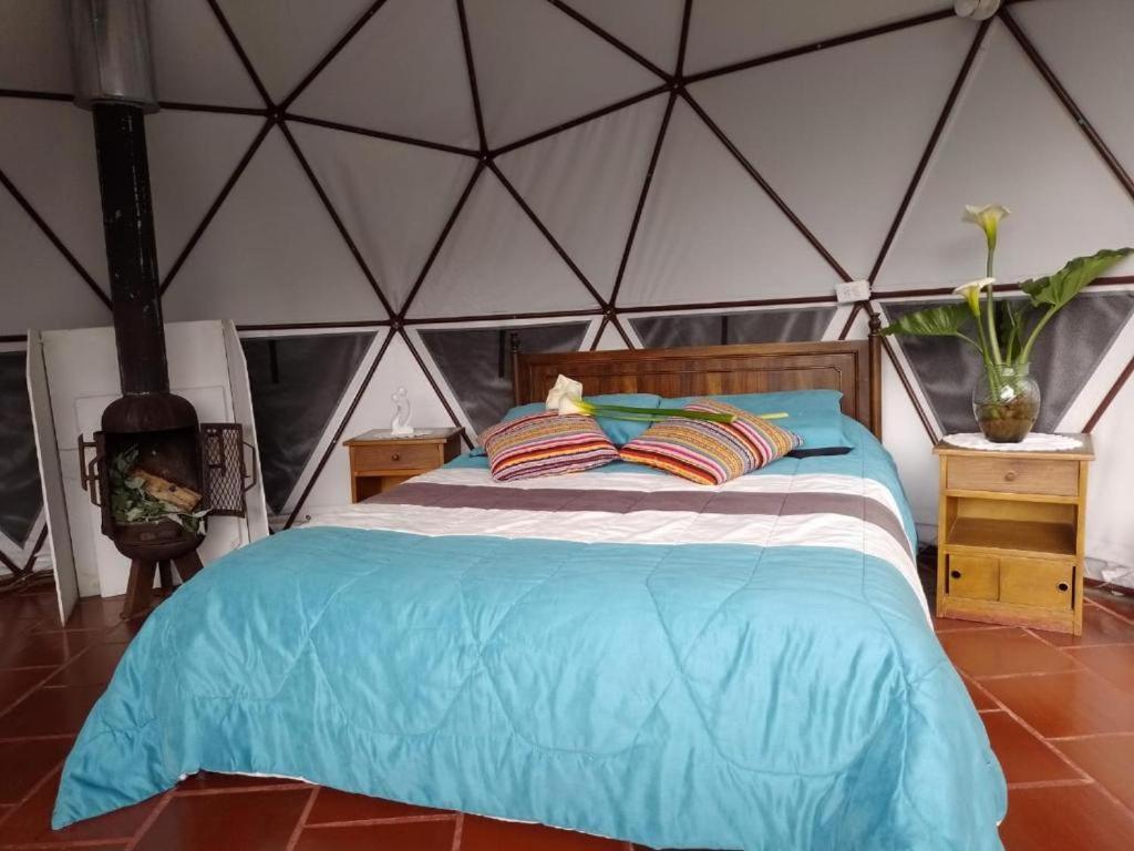 Glamping Bosque del Colibri - 2