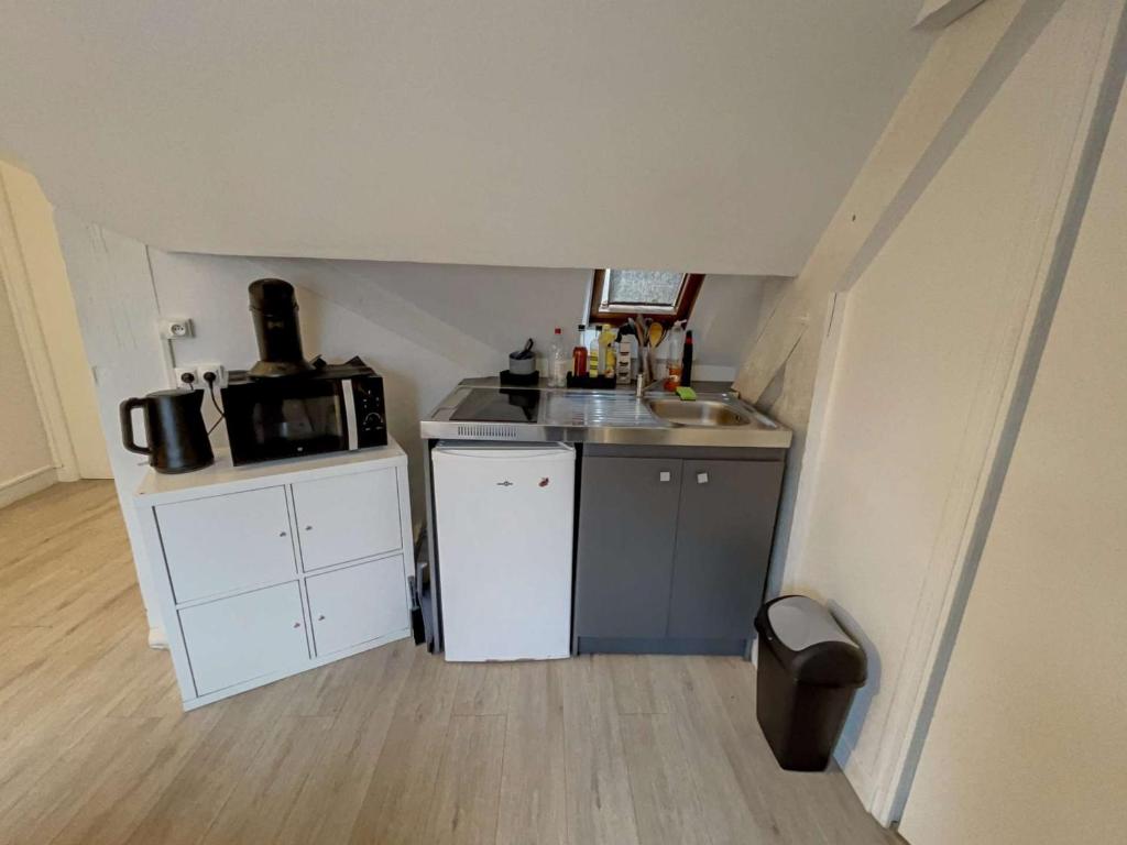 Appartement d’exception au cœur de la ville - FR-1-870-38 - 2