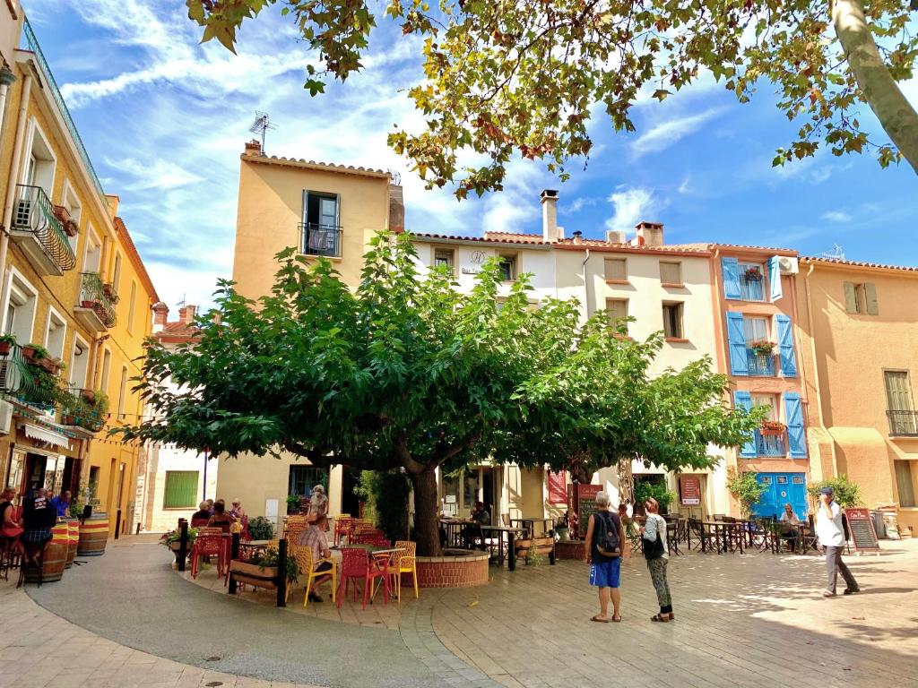 Maison de Marie centre historique Argeles mer Terrasse sans vis à vis - 5