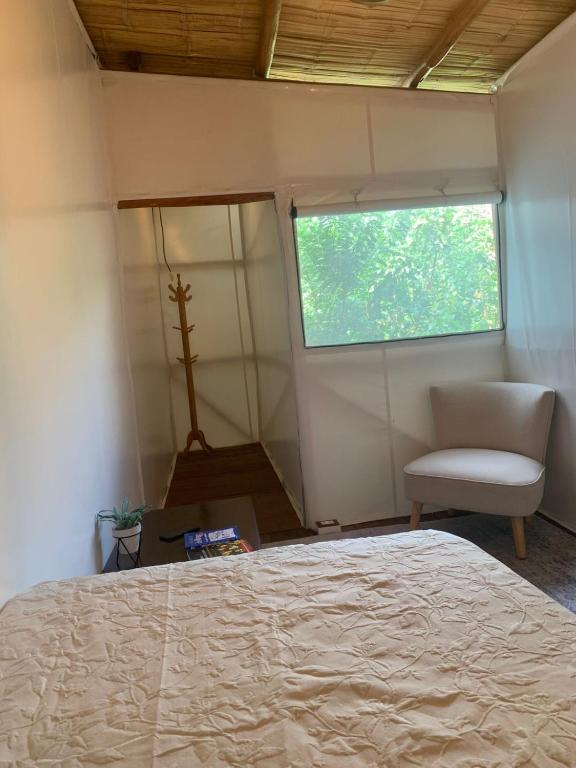 Casa glamping Bambucamp - 5