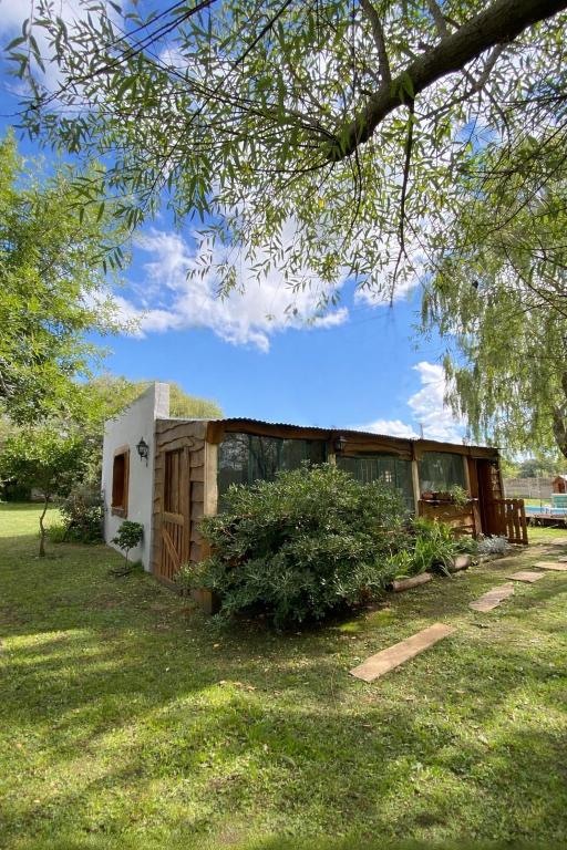 La piQuena - 5