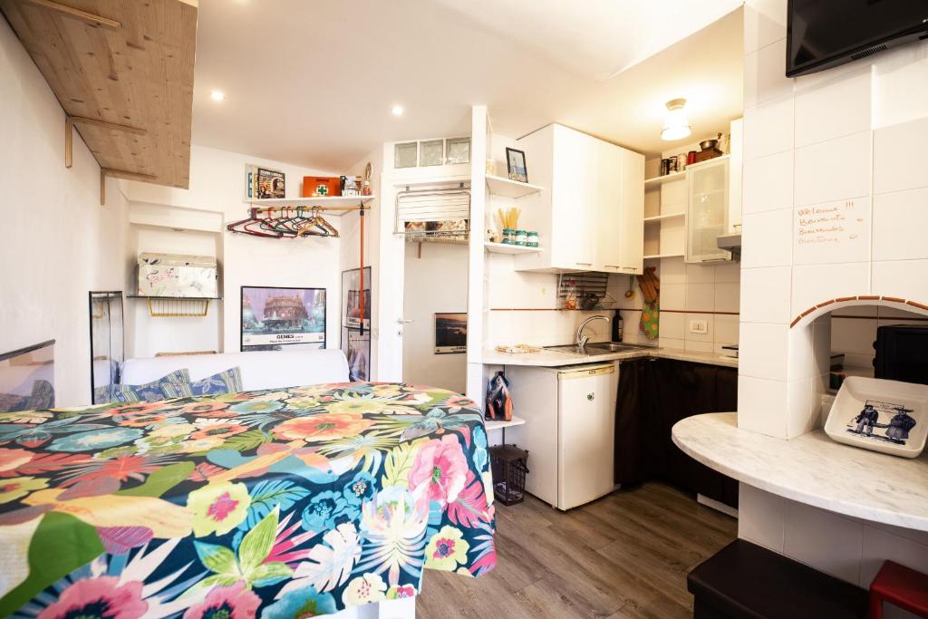 Brightly Window - 2