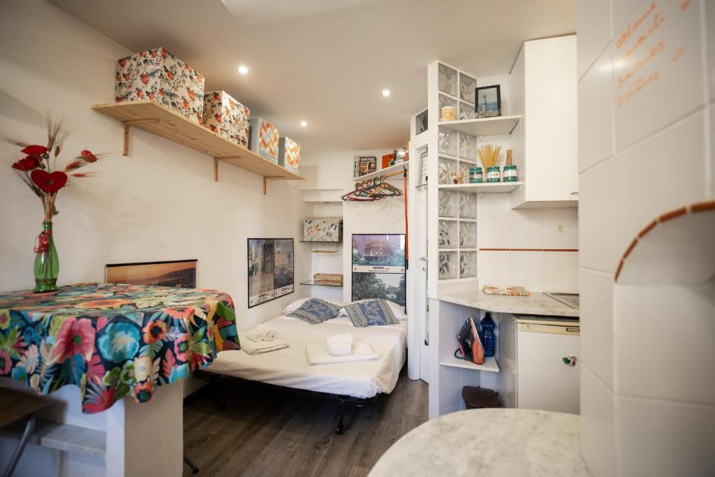 Brightly Window - 5