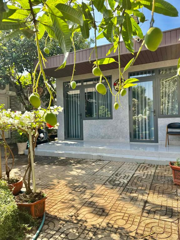 Homestay Buon Me 1