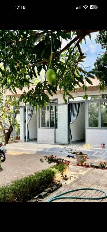 Homestay Buon Me 1
