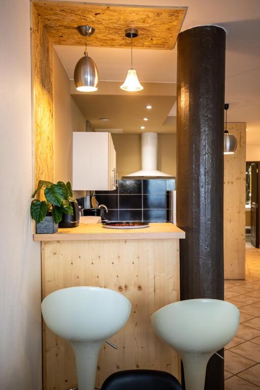 Grand appartement spacieux au centre de Chambéry, gare à pied - 2
