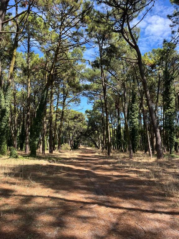 DEPARTAMENTO PLAYA MIRAMAR - 5