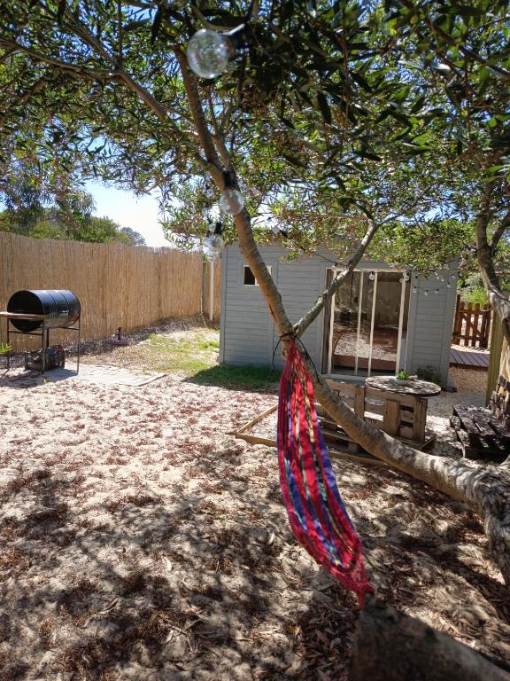 El refugio - 5