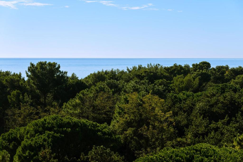 Bright top-floor apartment with sea view - 3