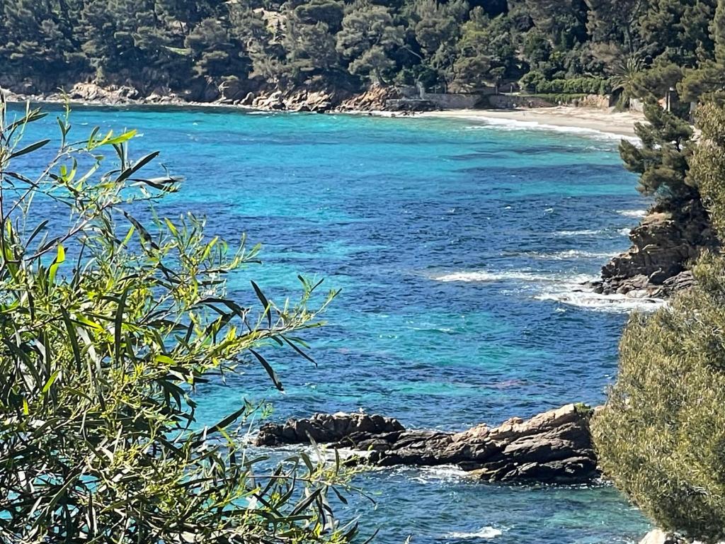 Location appartement au lavandou - 4