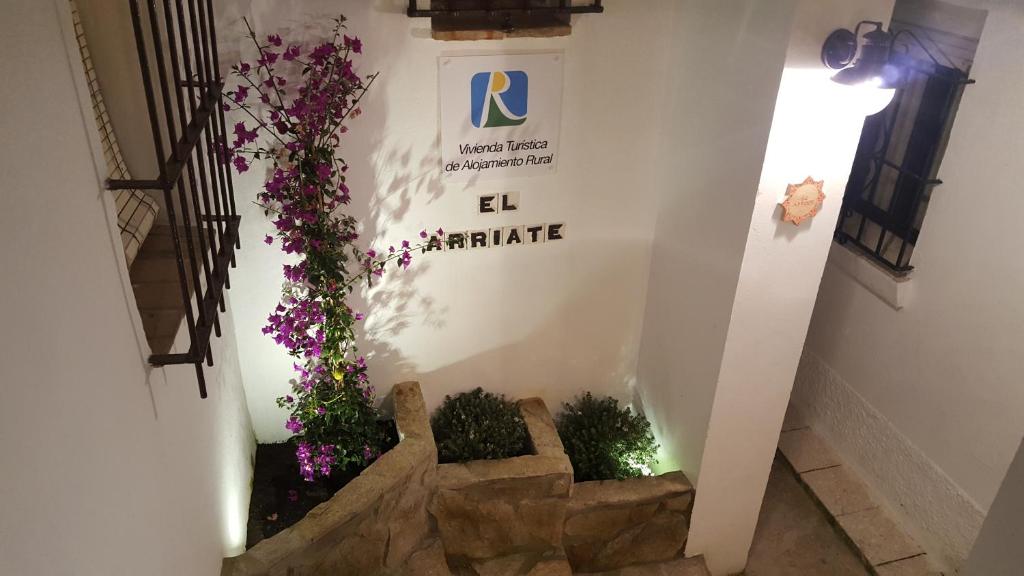 El Arriate de Vejer - 2