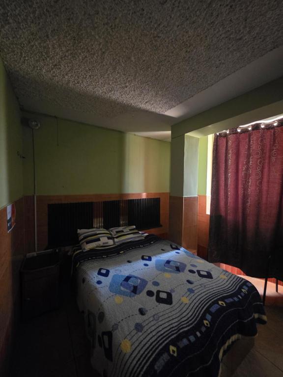 EL BOSQUE Hostal - 5