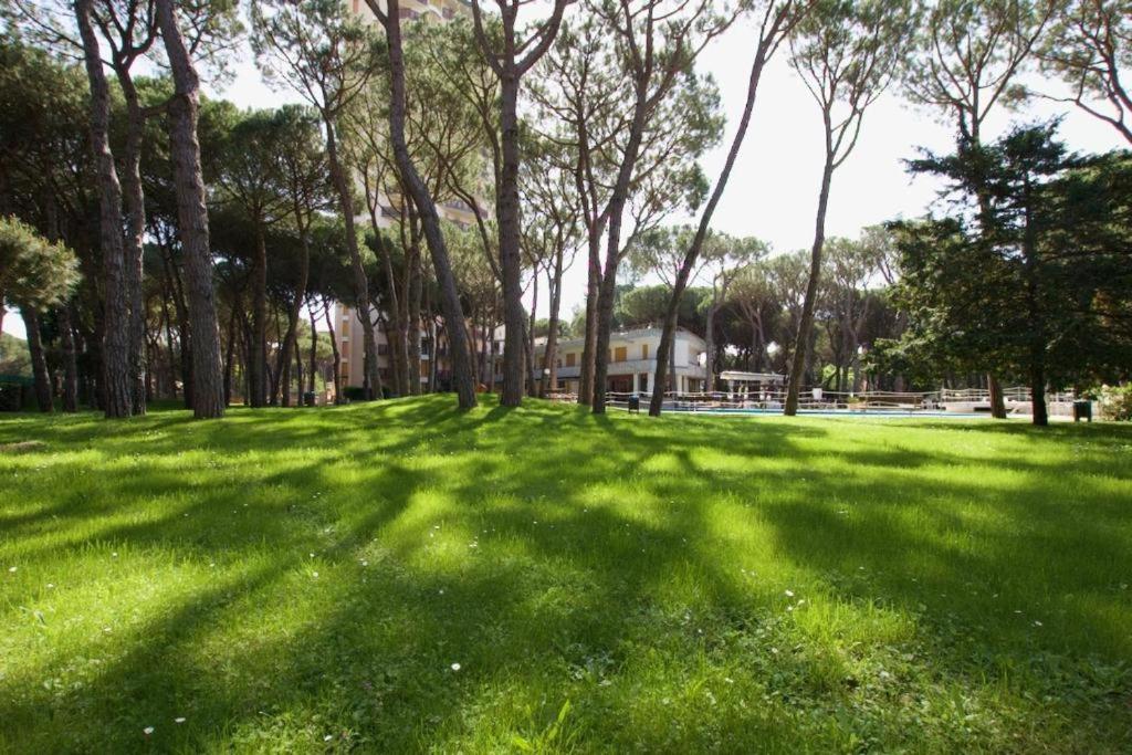 Residence Pineta con Piscina 6 posti letto - 3