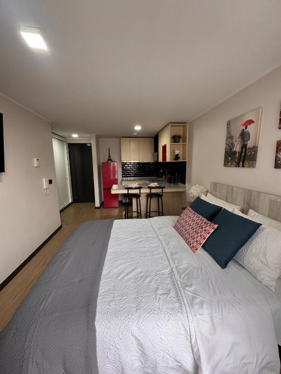 Paris en Santiago, un departamento de lujo - 5