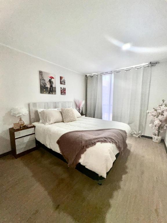 Paris en Santiago, un departamento de lujo - 2