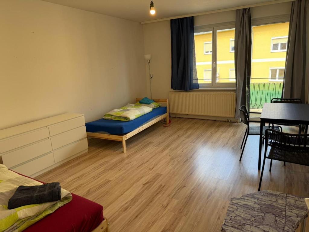 Monteurwohnung - Clever geschnittenes Apartment - 4