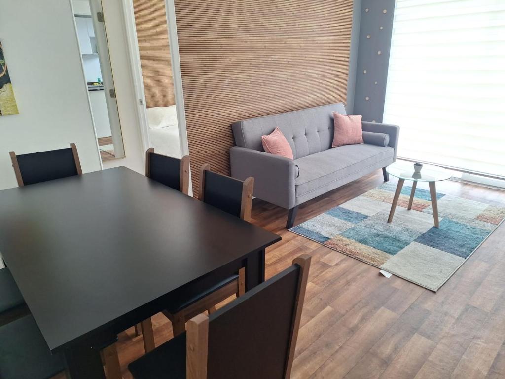 Villarrica Céntrico - 3