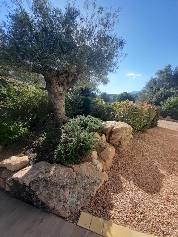 villa alba - 4