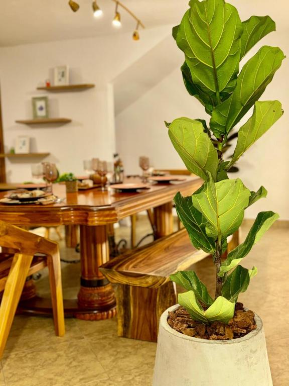 Tree House Luxury - 2