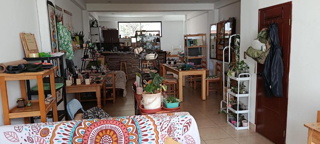 La Salvaje Bazar Mágico - 4