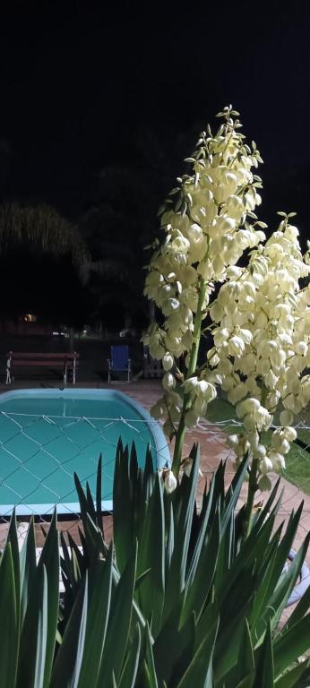 Posada La Maison D Agustine - 2