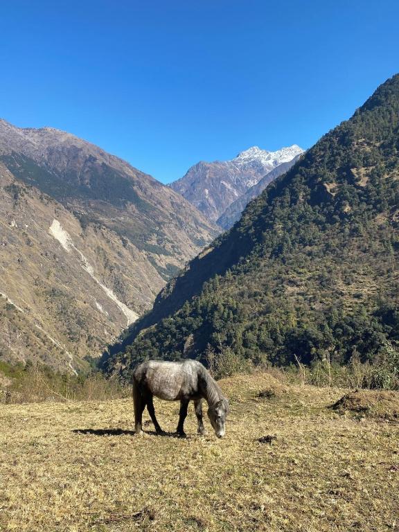Syabru Nomads Basecamp — Kyanjin Gompa