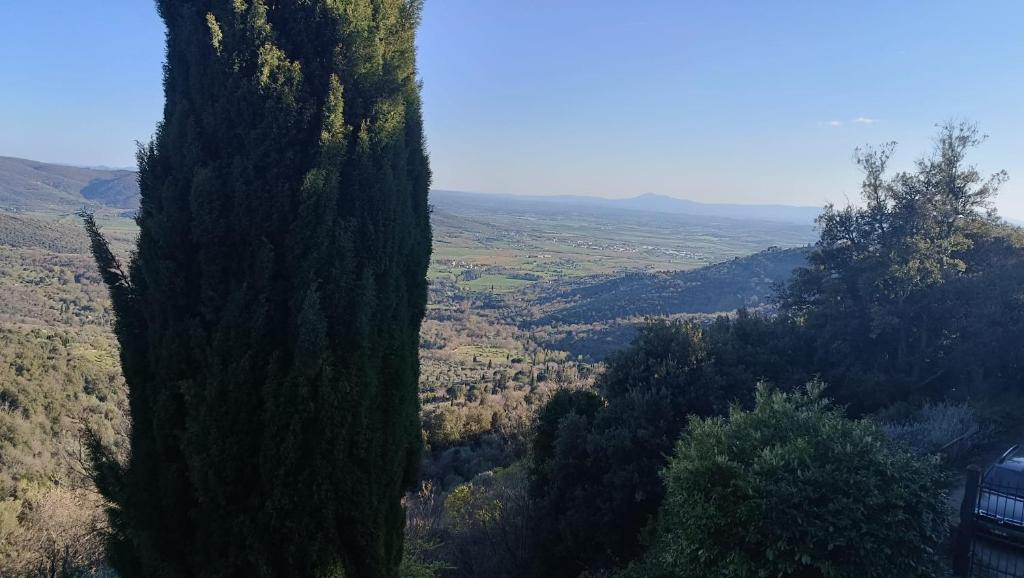 Il Ponticello Cortona - 3