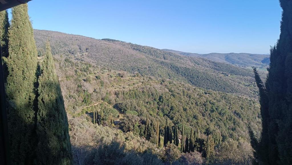 Il Ponticello Cortona - 2