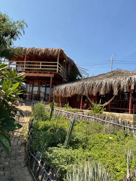Aitama lobitos - 4