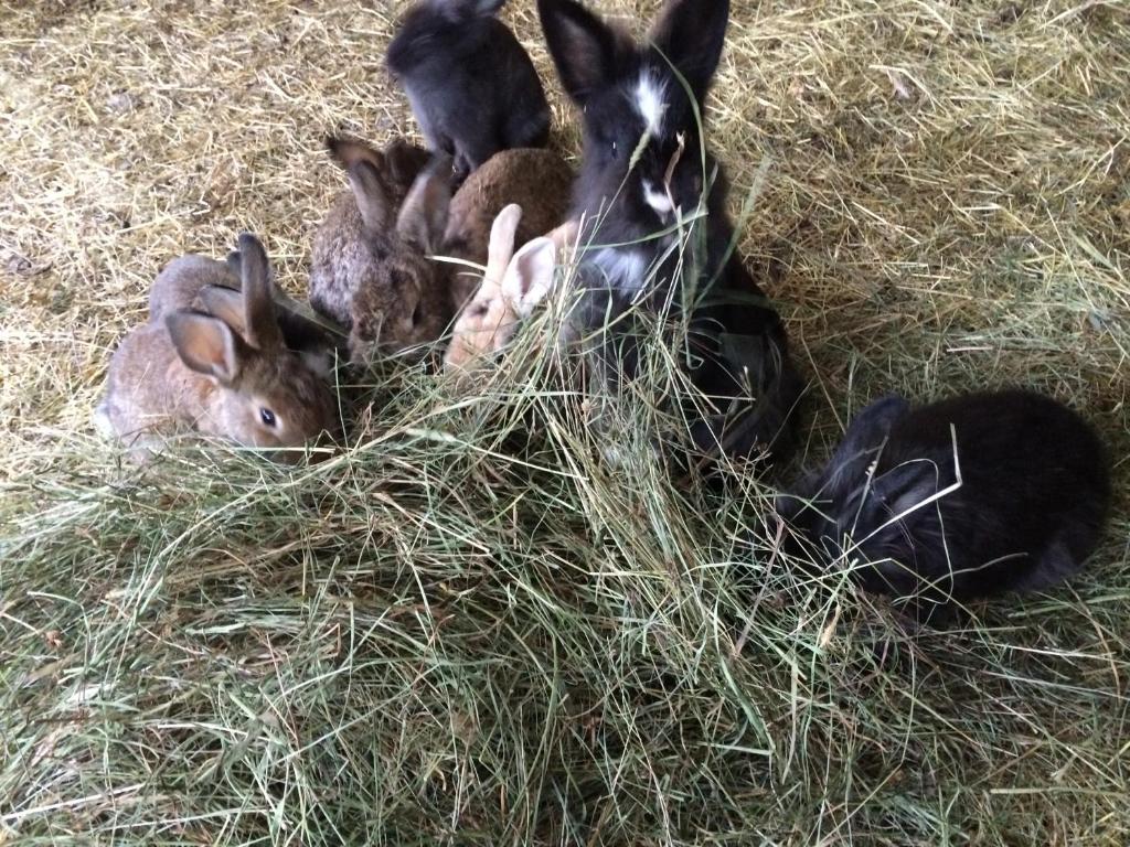 A szálláshely kívülről