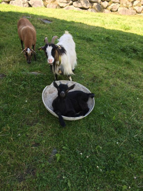 A szálláshely kívülről