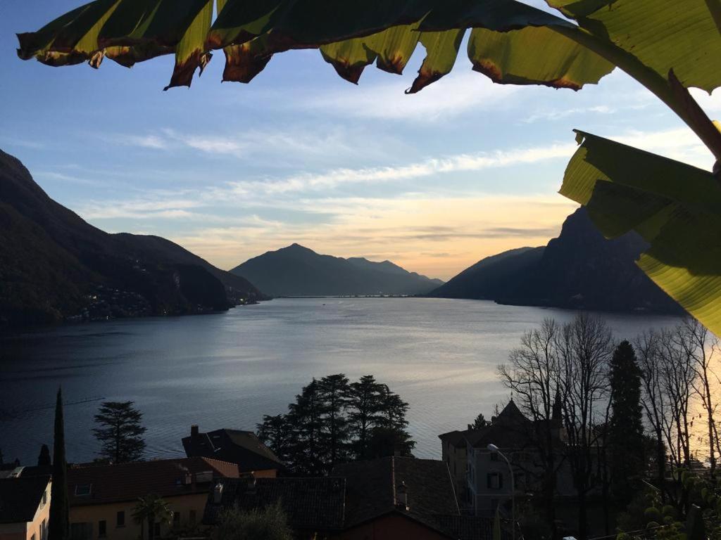 Room with a view - 1