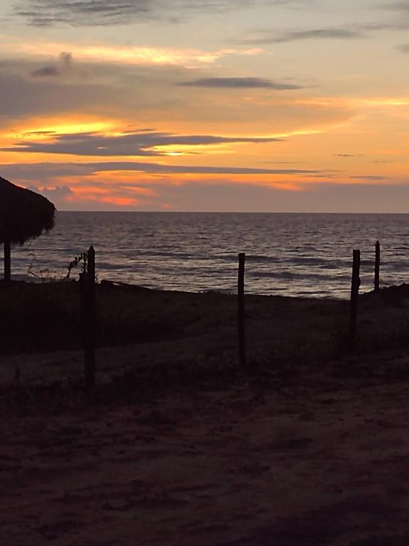 La playita - 5