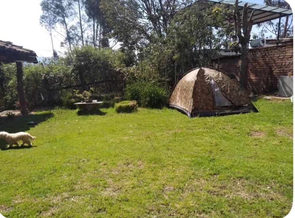 Casa rural en Guaranda volcán Chimborazo - 5