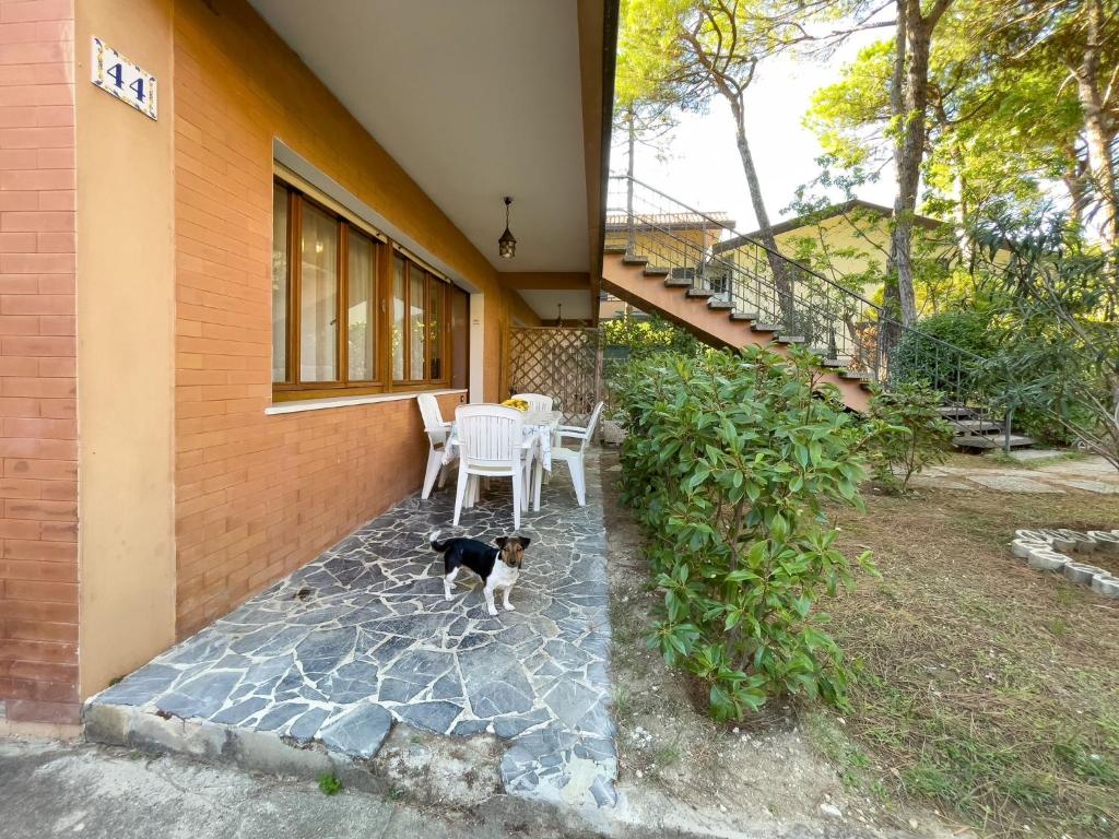 Relaxing stay with garden - 1