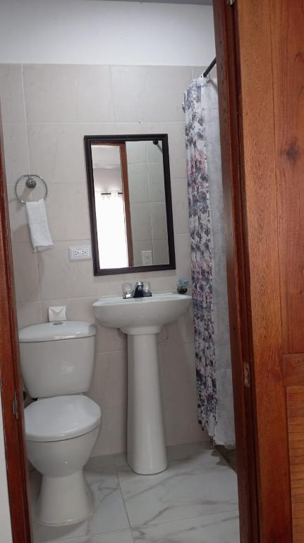 hostal orquideas de auri - 4