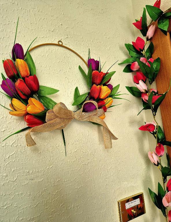 Olive tree's house - 3