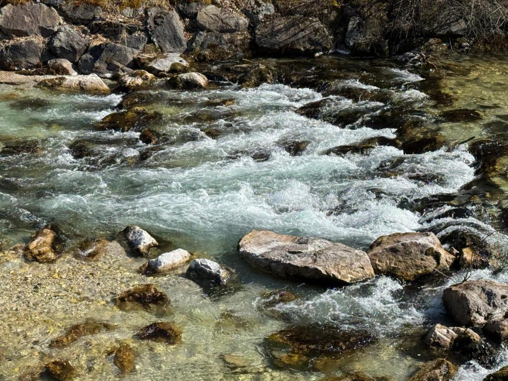 FeWo Karwendelwald nahe Wanderweg, Skilift, Isar und Edeka - 2
