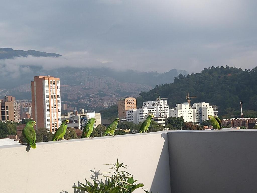 Vista al cielo y a las montañas de Medellín - 4