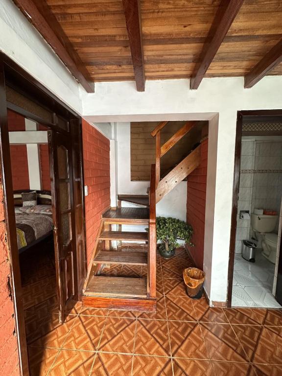 Cactus' House - 4