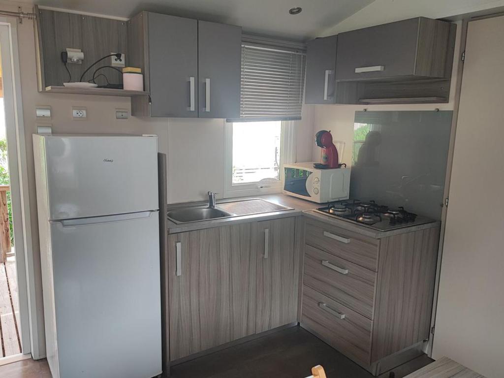 Mobil home climatisé - 5 pers. - API-1-52-2206 - 2