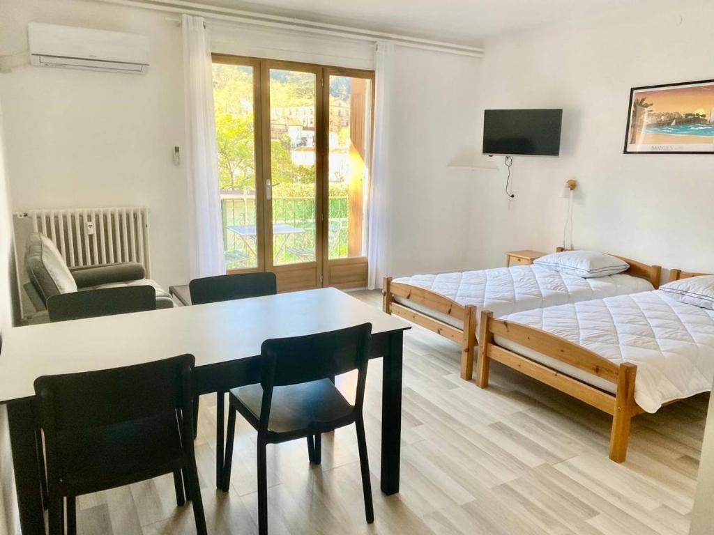 Studio ensoleillé, clim, animaux et parking - 2 pers. - FR-1-703-226 - 2