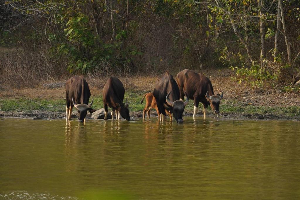 Surrounding environment