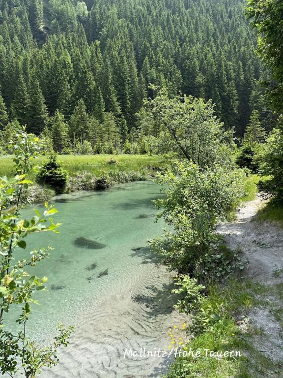 Wasser & Bergwelt Appartement Kärnten - 2