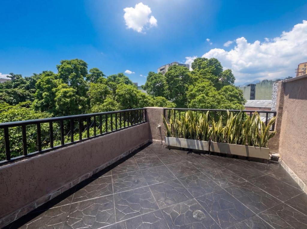 Suite con terraza privada - San Fernando - 4